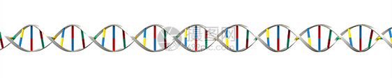 DNA制造医疗染色体科学化学遗传药品技术生活生物学螺旋图片