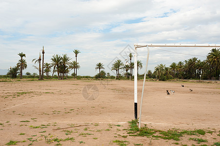 非洲足球球场沥青流浪狗草稿场地邮政游戏灌木框架氧化水平图片