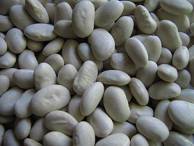 Beans 宏图片