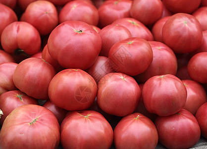 食物 蔬菜 番茄红色专题水果营养文章市场背景图片