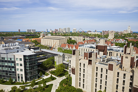 芝加哥大学校园学校图片