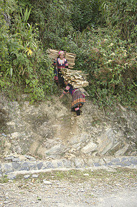 木材加工部落苦差事少数民族民族女孩山地木头女性民间风俗图片