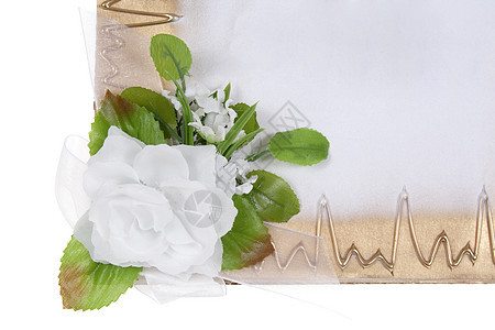 花香草珍珠奶油材料花瓣婚礼框架纸板文档邀请函图片