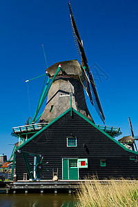 霍兰的风车特丹农村旅行旅游地标游客堤防教会国家桑色图片
