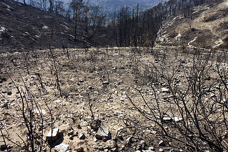 火灾后森林海法消防队员火焰烧伤假期植物远足天空旅行侵蚀图片