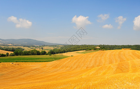 托斯卡纳景观地平线国家蓝色美丽季节农田收成农场粮食天空图片