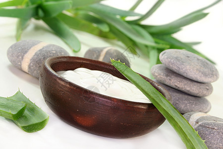 时间维生素肉质医疗健康绿色洗剂石头皮肤科医生植物图片