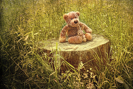 草地上旧木木桩上的小灰熊图片