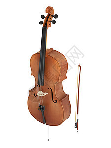 Cello 餐厅细绳乐器爱好工作室插图指板脖子钉盒音乐会剪裁图片