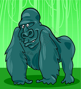 大猩猩插图银背毛皮动物刚果野生动物黑猩猩生物荒野漫画图片