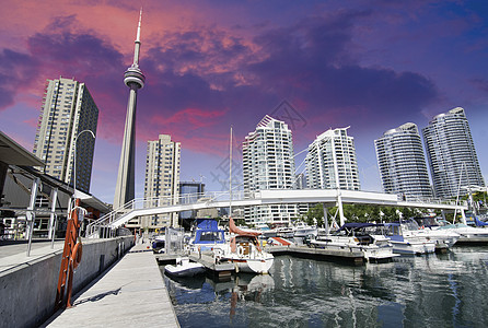 码头的多伦多市下城风景图片