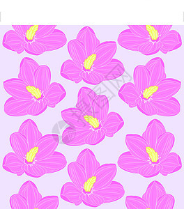 粉红色花朵的无缝花卉形态图片
