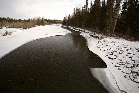 冬季南萨斯喀彻温河的开放水图片