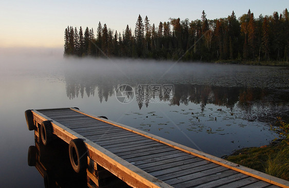 上午在萨斯喀彻温北部林克斯湖上空喷雾松树水平场景风景旅行荒野树木码头睡莲反思图片
