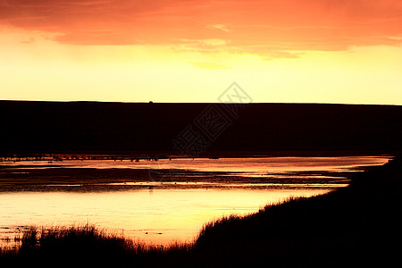日落在眼珠湖山后面大草原剪影美术水禽水平旅行风景乡村鸭子背景图片
