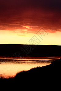 日落在眼珠湖山后面大草原乡村旅行剪影鸭子美术水禽风景背景图片