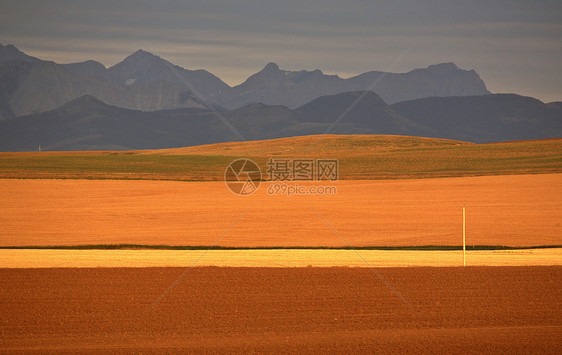 艾伯塔高平原和远处的洛基山脉风景旅行水平力量场景乡村平原山脉图片