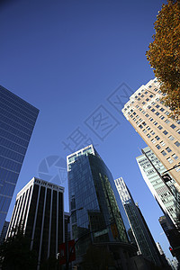 温哥华市中心大楼场景阴影建筑物天际风景旅行天空图片