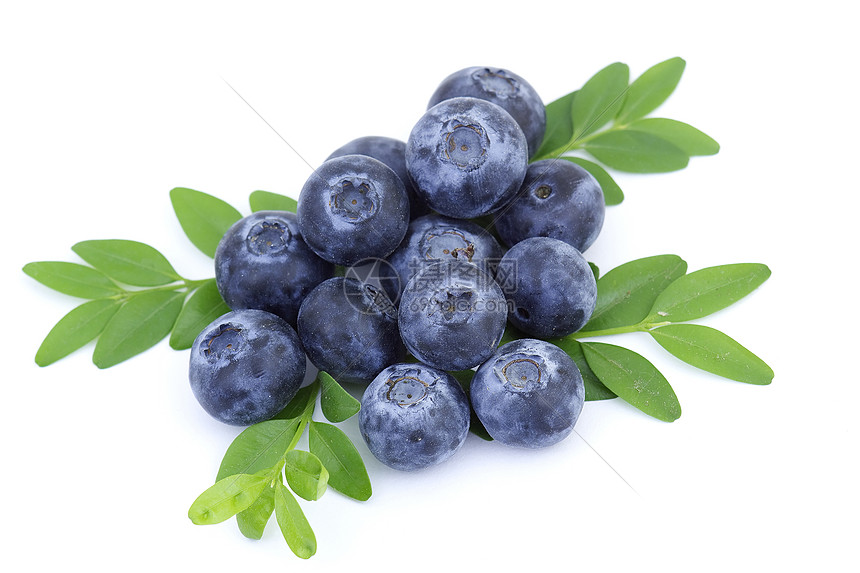 白色上隔离的新鲜蓝莓浆果水果绿色蓝色食物饮食叶子图片