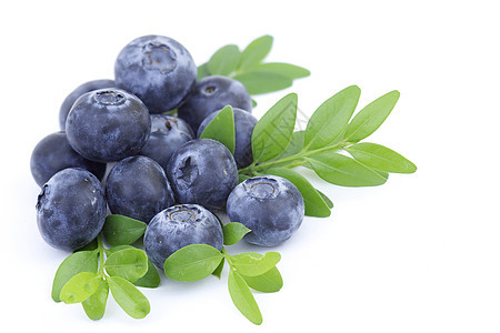 白色上隔离的新鲜蓝莓饮食蓝色食物叶子水果绿色浆果图片