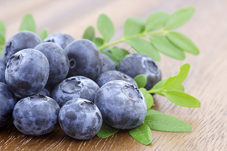 新鲜蓝莓浆果宏观蓝色饮食水果食物叶子绿色图片