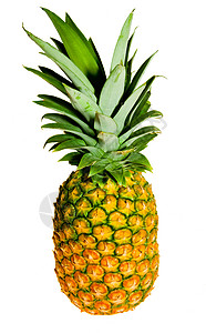 菠萝叶子树叶水果营养热带甜点饮食果汁植物养分背景图片