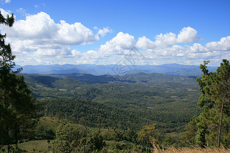 山区谷地爬坡森林蓝色全景晴天阳光天空生态山脉山腰图片