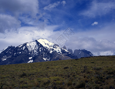 阿根廷巴塔哥尼亚的云盖地质学孤独风景石峰山脉旅游顶峰荒野戏剧性图片