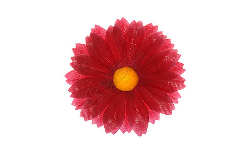红花花瓣黄色红色植物学宏观白色园艺花园生长礼物图片