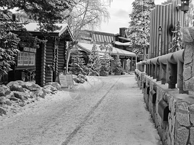 欧洲北极地貌 欧洲乐趣雪橇运动团队冻结旅行旅游全景游客娱乐图片