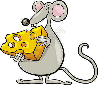 带奶酪的老鼠鼠动物食物绘画插图牙齿尾巴卡通片快乐漫画哺乳动物图片