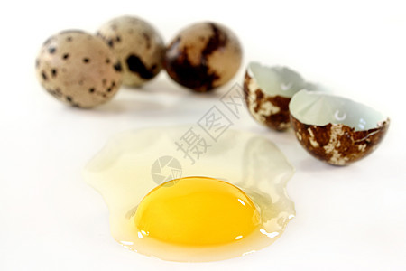 Quail 鸡蛋盘子鸟蛋石灰模式粮食生育力鹌鹑美味斑点图片