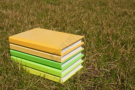 书堆在草地上绿色脊柱补给品黄色图书知识团体橙子收藏精装图片