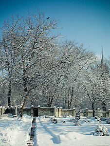 白雪日路灯下雪摄影场景水平树木森林人行道单车图片