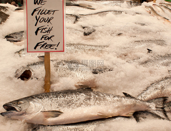 硬纸艺术海鲜摊位市场盐水团体销售绿色食物条纹图片