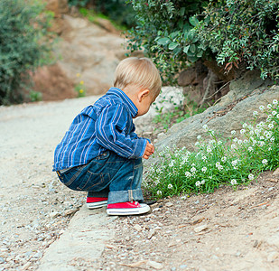 男孩在花园里 男孩在园中草地季节公园场地孩子喜悦晴天乐趣头发帽子图片