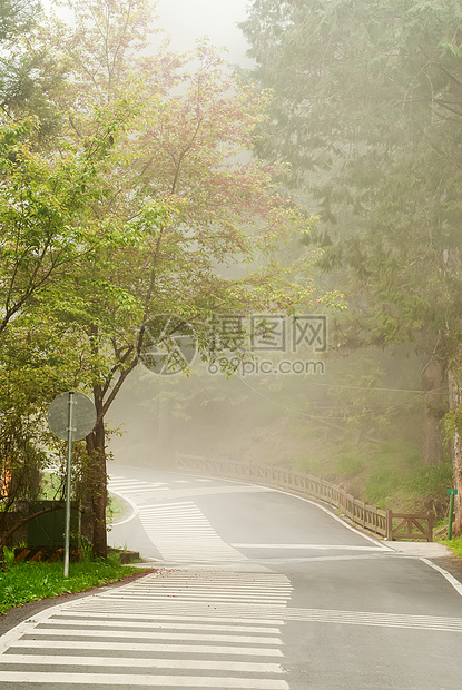 路上的迷雾踪迹曲线森林条纹场景国家穿越风景薄雾小路图片