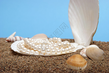 大洋珍珠珠宝项链珍珠海洋宝石牡蛎贝类宝藏蓝色场景图片