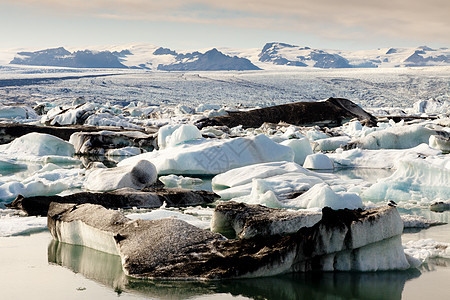 乔库萨龙环礁湖冰岛气候蓝色编队冻结晴天天空冰川反射产犊环境图片