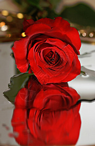 红玫瑰镜子背景图片