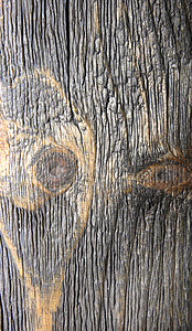 地板特写棕褐木的润棕木纹理粮食松树框架宏观单板样本木工木地板材料风格背景