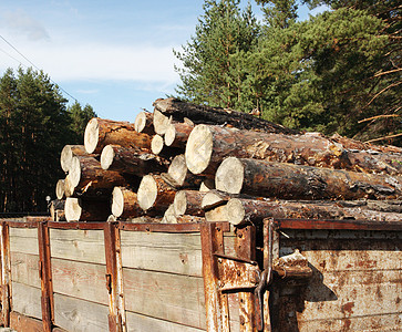 森林中树木的加载日数卡车木材棕色记录树干资源活力燃料柴堆工业图片