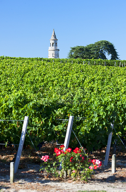法国波尔多州博尔多地区 By玫瑰葡萄园外观城堡世界农业旅行建筑葡萄位置图片