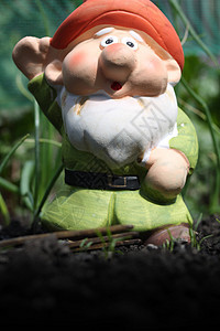 Gnome 格诺梅图片