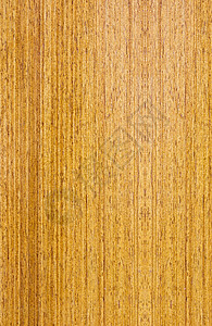木谷背景镶板松树桌子木制品云杉木工木头硬木木材橡木图片