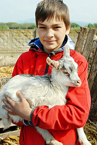 带小山羊的少年男孩育儿男生男性孩子拥抱院子哺乳动物夹克农场家畜图片