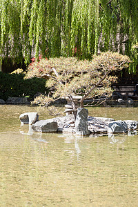 日本花园岩石风景公园池塘精神绿色美丽花园植物叶子图片