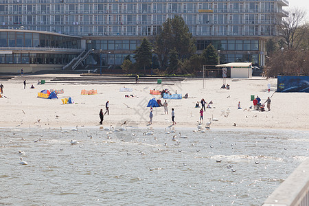 科洛布扎格海滩波浪海鸥生态天空海滩鸟类码头晴天图片