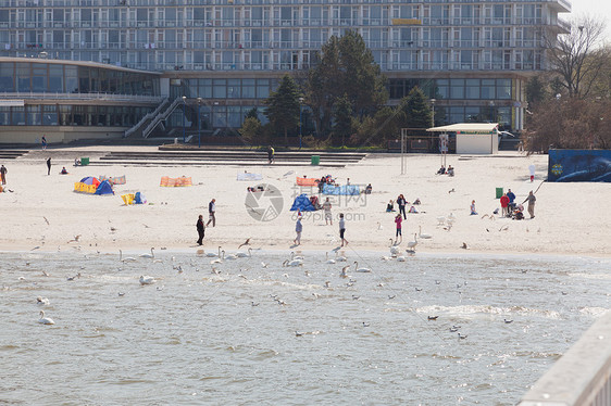 科洛布扎格海滩波浪海鸥生态天空海滩鸟类码头晴天图片