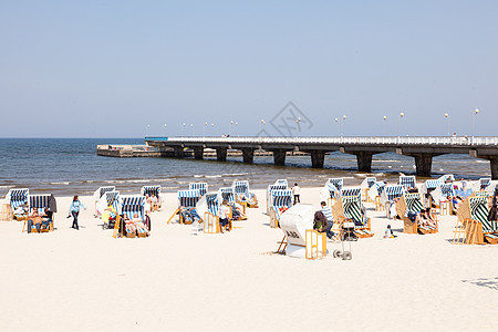 科洛布扎格海滩天空码头晴天海滩波浪海鸥生态鸟类图片